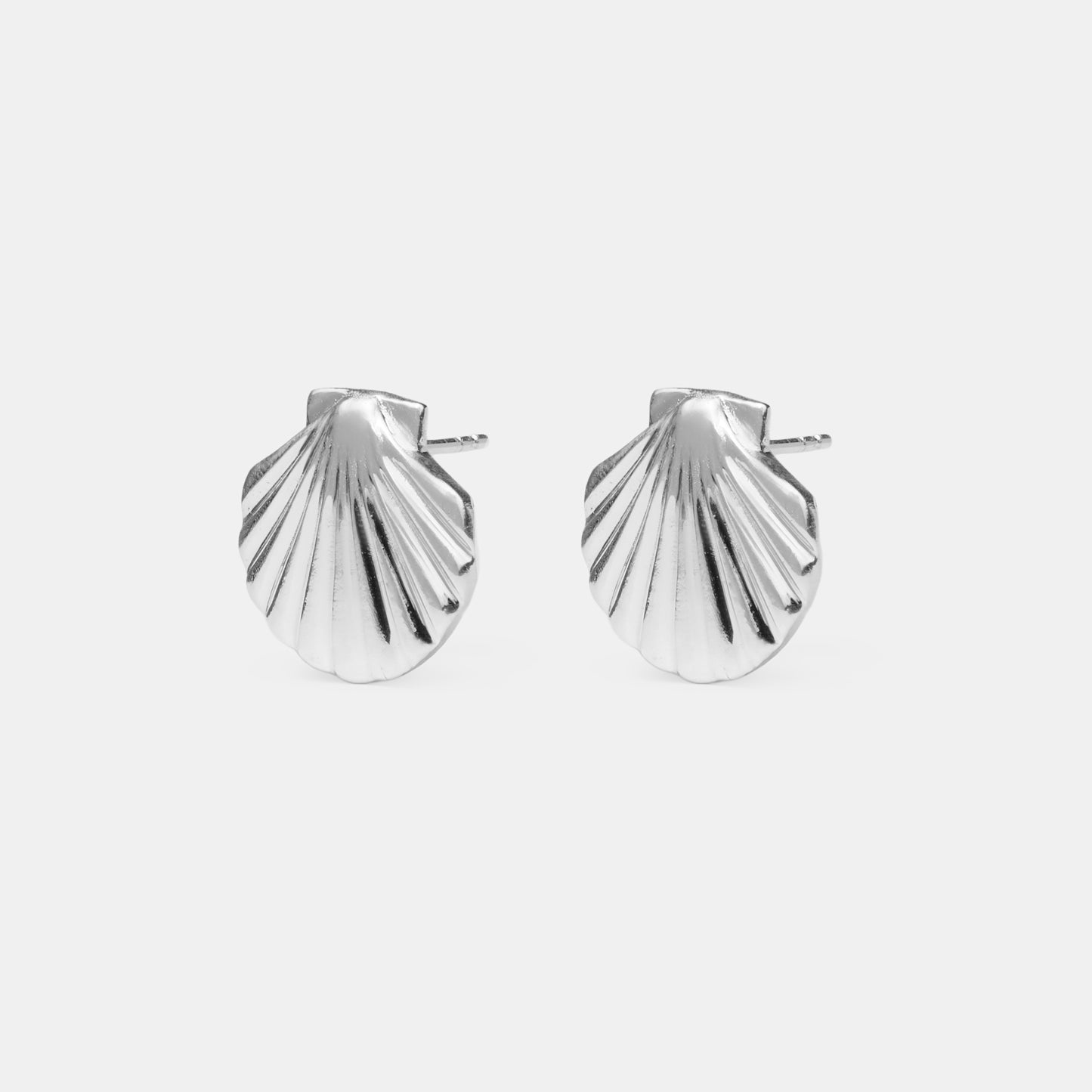 Earrings Shell silver