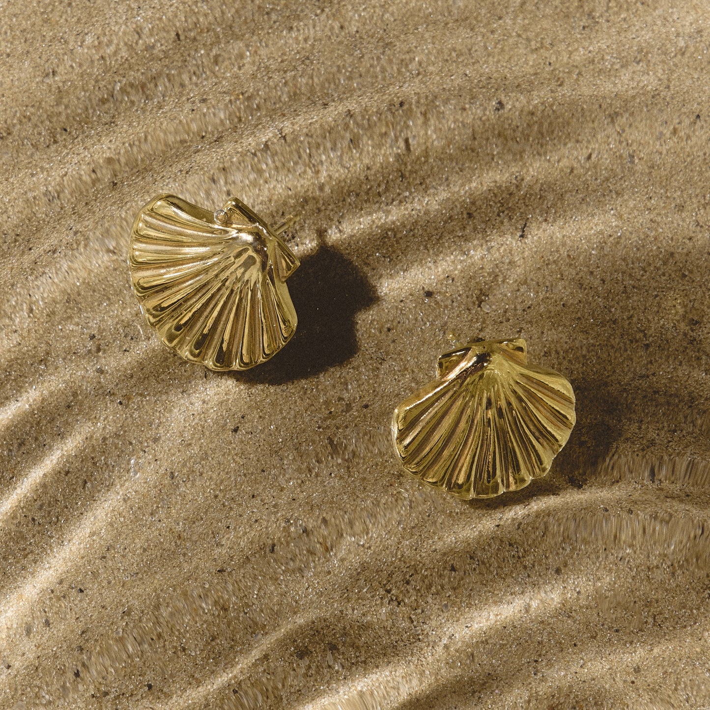 Earrings Shell gold