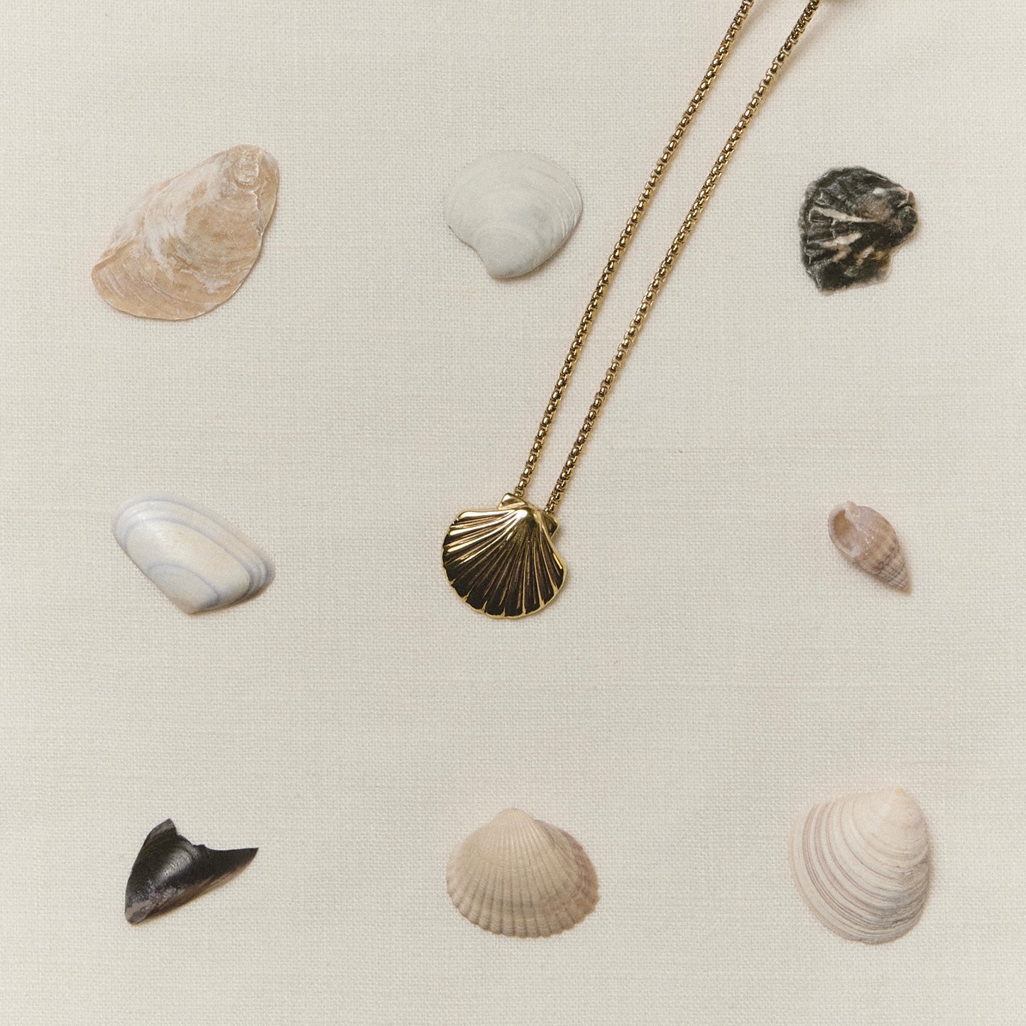 Long Chain Shell gold