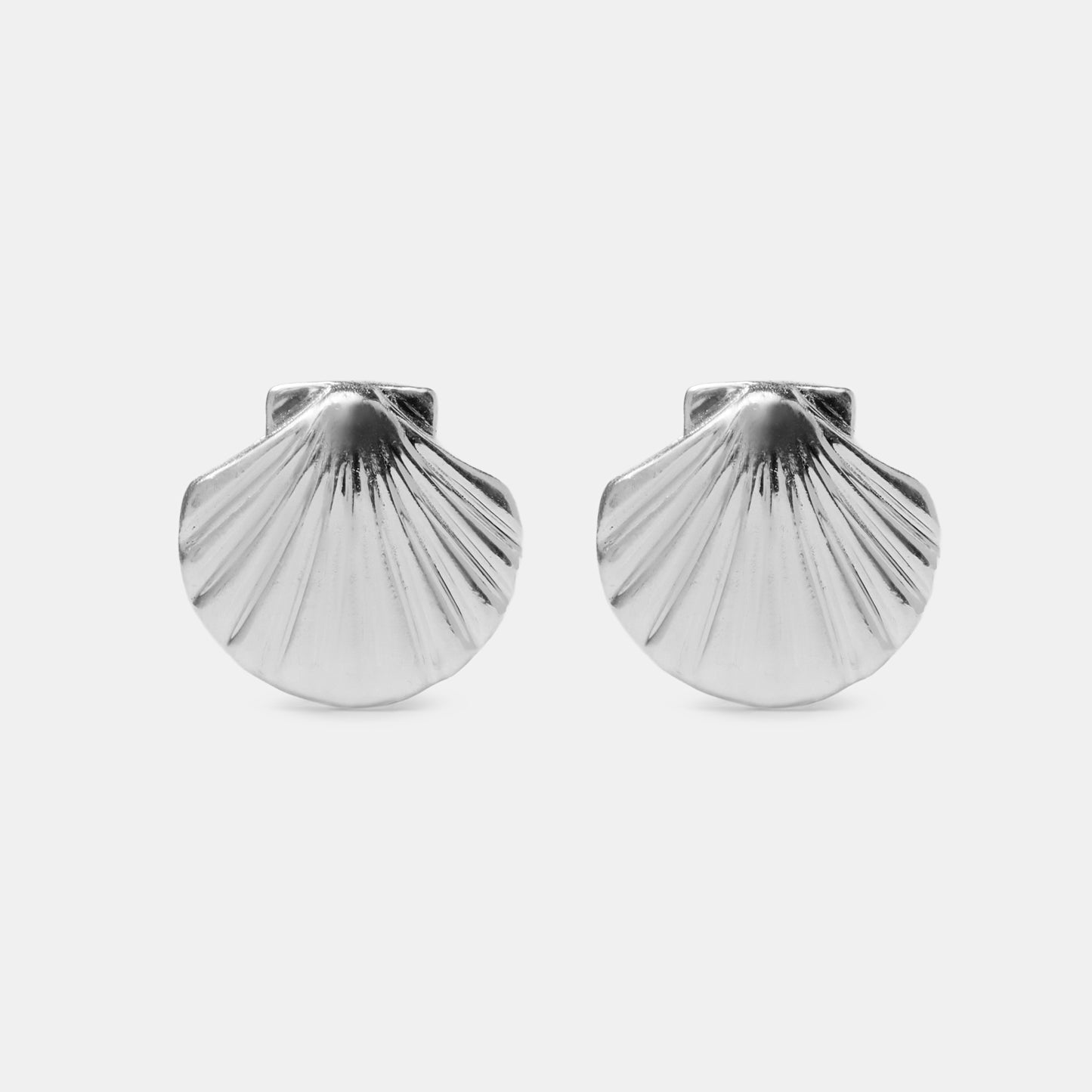 Earrings Shell silver