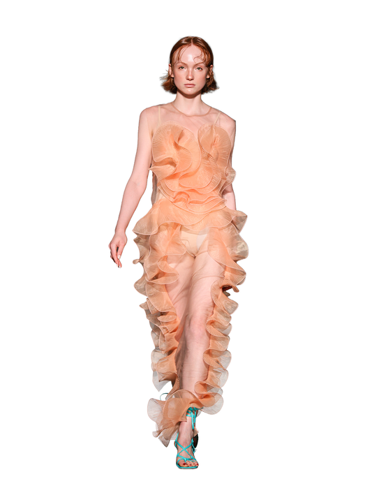 PEACH SHEER DRESS WITH PLEATED DETAIL