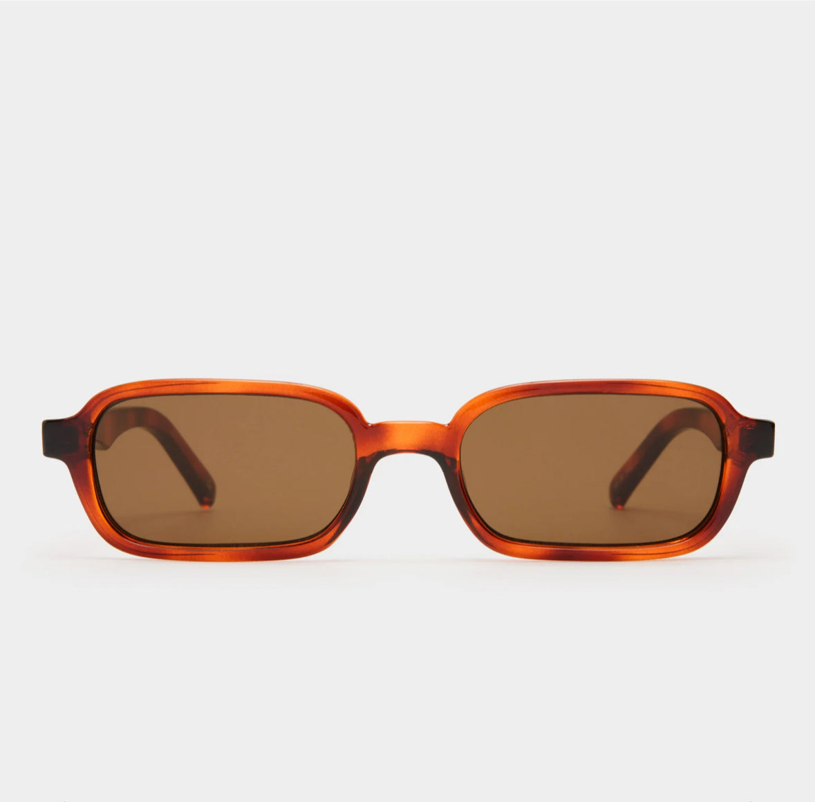 Pilferer toffee tort sunglasses