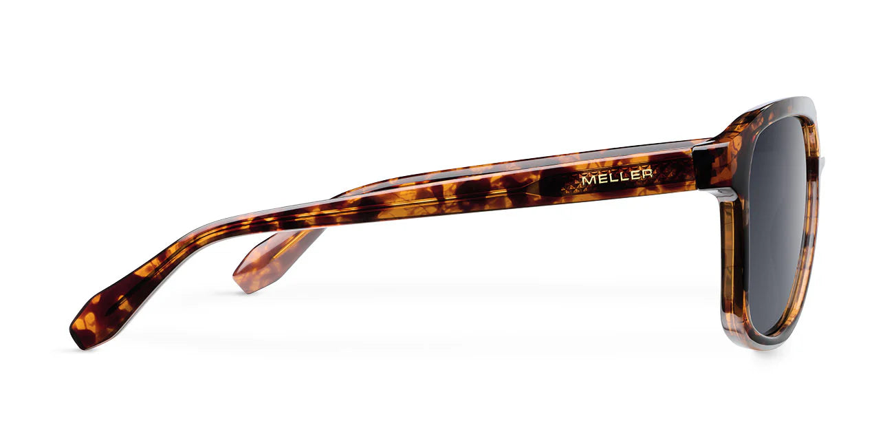 Dara tigris carbon sunglasses